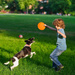 Frisbee Dysk Latający Do Łapania Zabawka Do Aportowania Talerz Spodek pomarańczowy 18 Cm