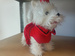 Simba Chi Chi Love Poshi piesek funkcyjny interaktywny WADLIWY